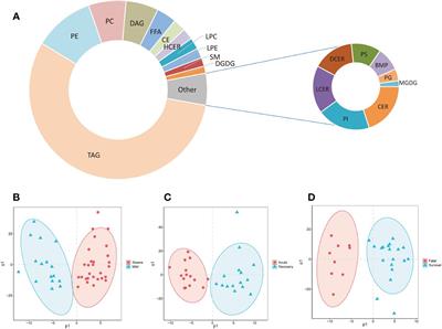 Lipidome is a valuable tool for the severity prediction of coronavirus disease 2019